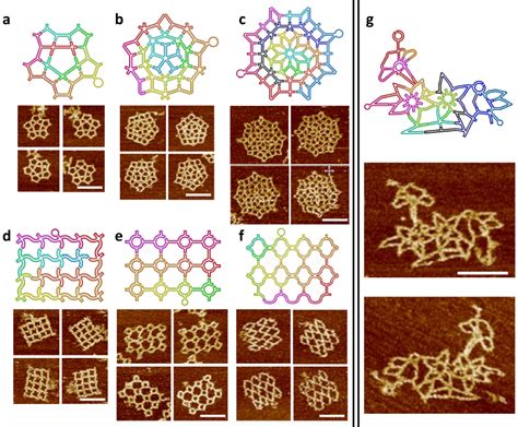 Novel DNA origami structures | Kurzweil