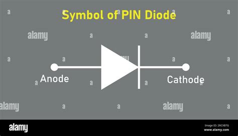 Symbol of PIN diode. Anode and cathode. Vector illustration isolated on ...