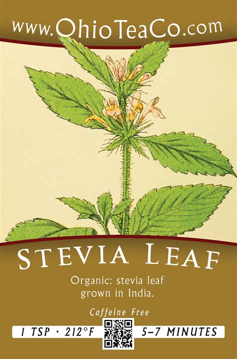 Stevia Leaf