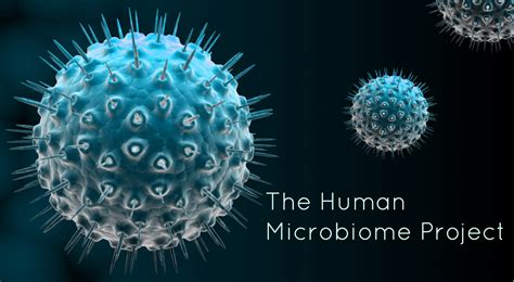 The Generalist: THE HUMAN MICROBIOME