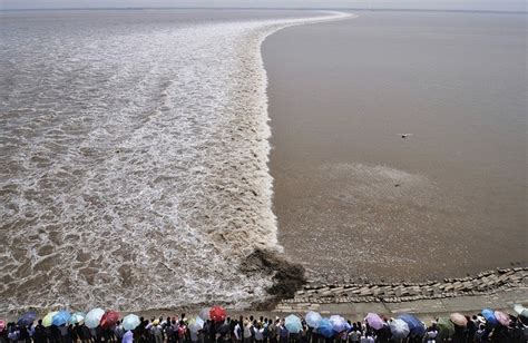 Amazing World Marvels: Tidal Bore: When Rivers Flow Against The Current