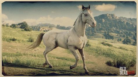 Andalusian Horse | RDR2 Horse Breeds Coats, Locations & Stats