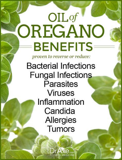 The 25+ best Oregano oil benefits ideas on Pinterest | Oregano oil ...