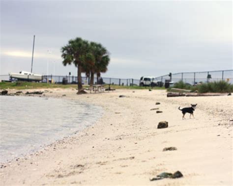 Health Advisory Issued For Davis Island, Ben T. Davis Beaches | Tampa ...