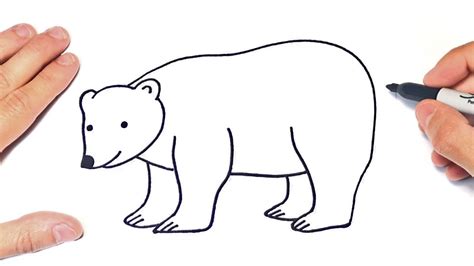 How to draw a Polar Bear Step by Step Polar Bear Drawing Lesson