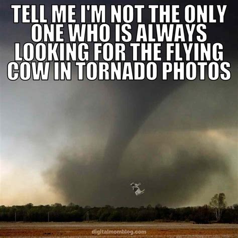 40 Tornado Memes And Images About Twisters And Crazy Weather