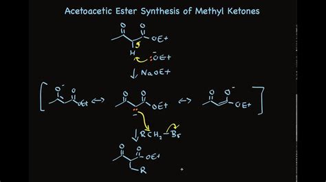 Acetoacetic Ester Synthesis of Methyl Ketones - YouTube