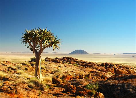 Karoo National Park | Scenery pictures, Namibia, Landscape photos