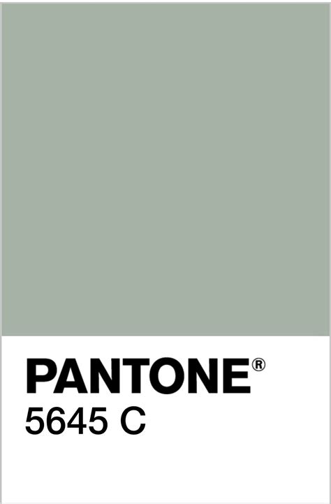 Pantone 5645c. Sage? Soft Green Color, Green Colour Palette, Green ...