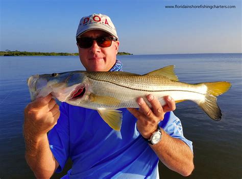 Ponce Inlet Snook Fishing Charter • Sebastian Inlet Snook Guide