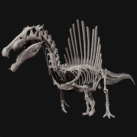 Spinosaurus Full Skeleton Sculpt Model | Dinossauros