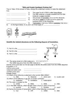 RNA and Protein Synthesis Quiz / rna-and-protein-synthesis-quiz.pdf ...