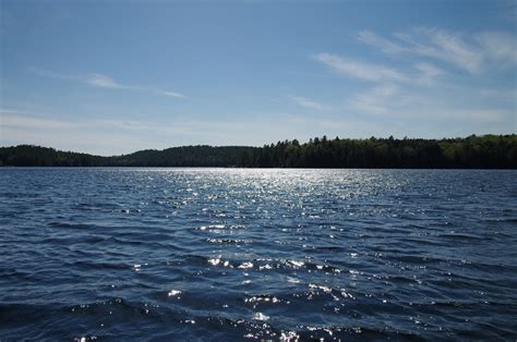 THE 5 BEST Things to Do in Algonquin Highlands - 2024 (with Photos)