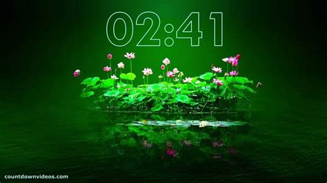 a green screen with the words 10 00 on it and flowers floating in the water