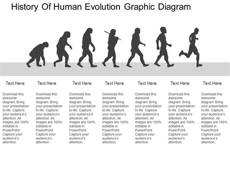 Human Evolution Flow Chart - Best Picture Of Chart Anyimage.Org