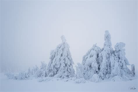 Winter landscapes in the Black Forest on Behance