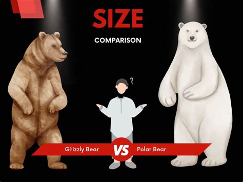 Polar Bear Vs Grizzly Bear Size Comparison