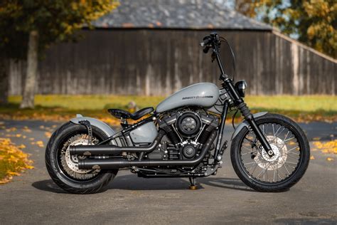 Thunderbike Grey Hawk • Harley-Davidson Street Bob