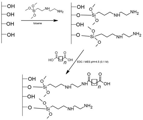 Extraction of Nucleotides from Dietary Supplements by Newly Synthesized ...