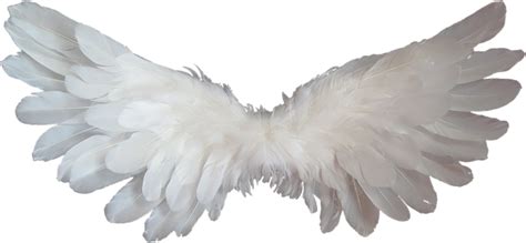 White Angel Wings · Free photo on Pixabay