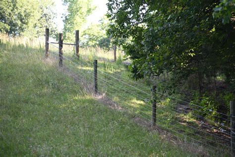 Pasture Management – Everything for a long-lasting fence