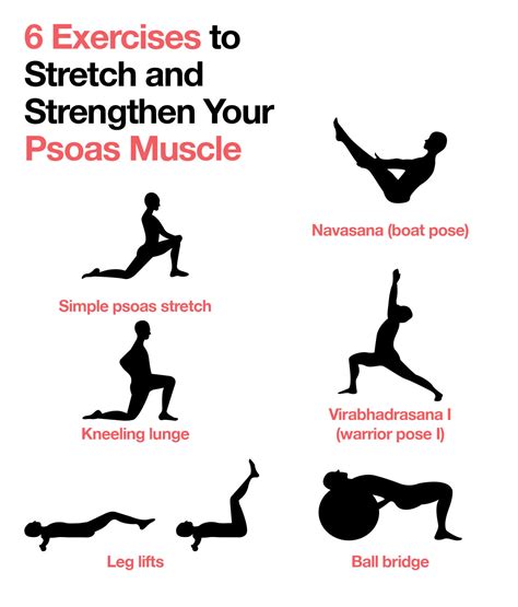 Struggling with Back Pain? 6 Psoas Muscle Exercises to Benefit From ...