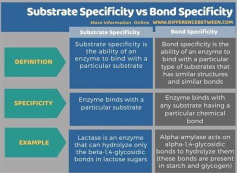 Difference Between Substrate Specificity and Bond Specificity | Compare ...