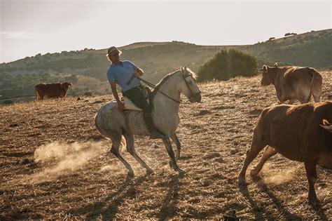 THE LAST VAQUERO ”The Real Cowboy – by One of Them” - Equilife World