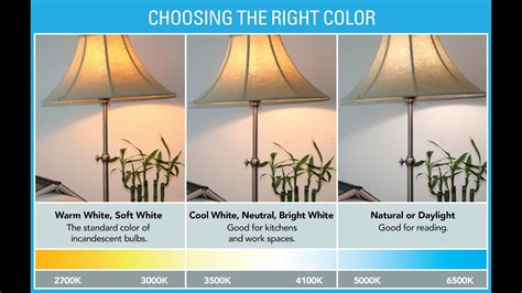 Ask the Expert: How to Choose a Light Bulb - YouTube