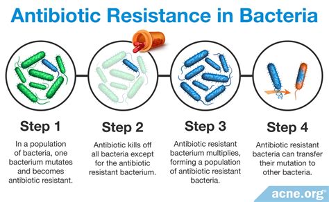 Antibiotics can be useful in fighting off bacteria but they are ...