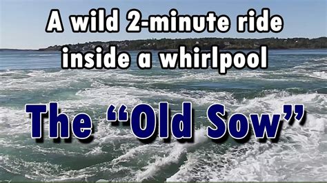 The "Old Sow" - Largest Whirlpool in the Americas - YouTube