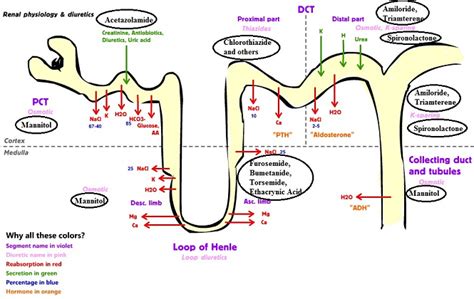 This Nursing Student Can't Even: Day 9: Diuretics, Cardiac Medications