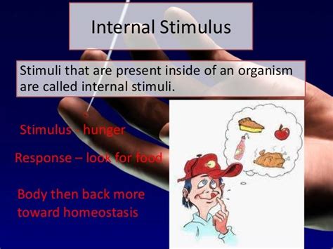 Stimuli lesson 3