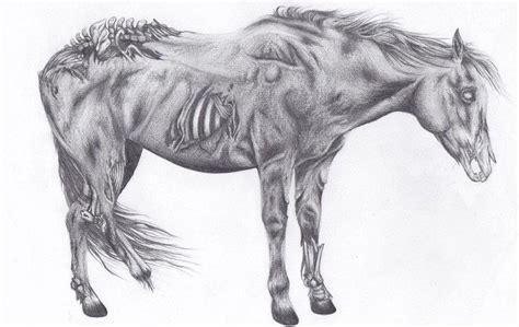 Zombie Horse Drawing by Ashley Brown