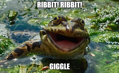 ribbit Memes & GIFs - Imgflip