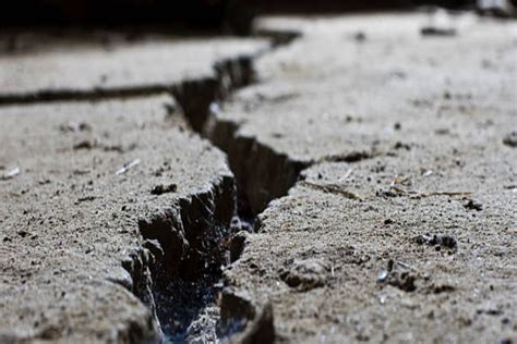 J&K, Ladakh rocked by 11 quakes in six days