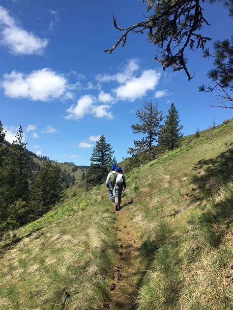 Looking up trail at Grouse Mountain.