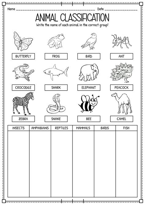 15 Classifying Animals Worksheets Preschool | Animal classification ...