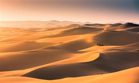 10 Amazing Sahara Desert Images - Fontica Blog