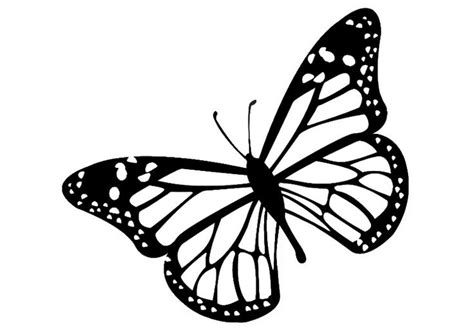 Butterfly black and white monarch butterfly clipart black and white ...