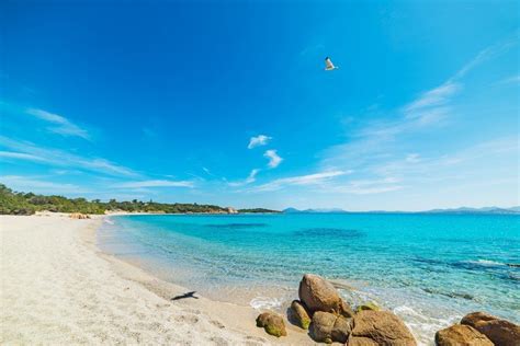 Le spiagge più belle di Cannigione, Sardegna - Avitur Tour Operator