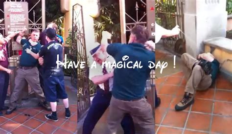 Fight in Disneyland | Le Parcorama