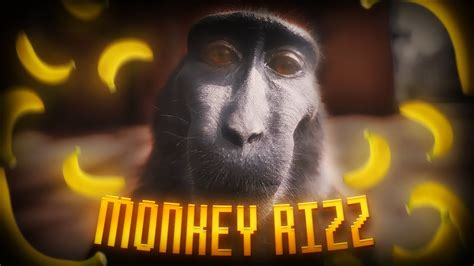 [4K] Monkey Rizz (Adrian - 9am in Calabasas) - YouTube