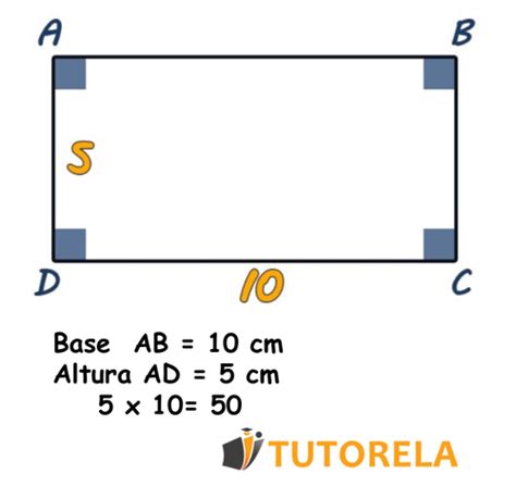 Tablero Huelga Vaciar La Basura Como Se Calcula El Area De Un | The ...