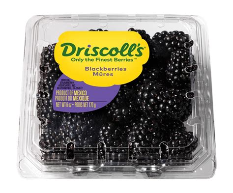 Driscoll's Blackberries | Hy-Vee Aisles Online Grocery Shopping