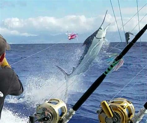 About Us – Oahu Deepsea Fishing