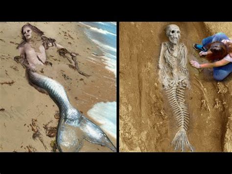 10 Most Mysterious Mermaid Sightings! - YouTube