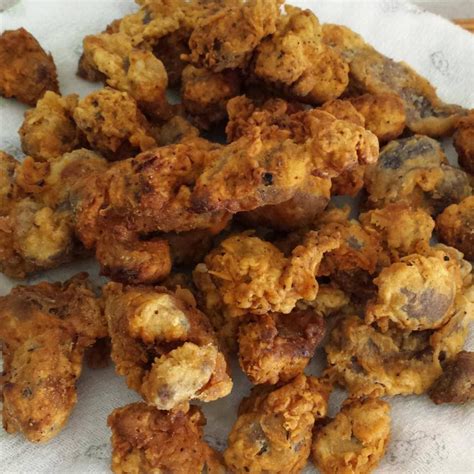 Southern Fried Chicken Gizzards – HOVERLAKE Recipe