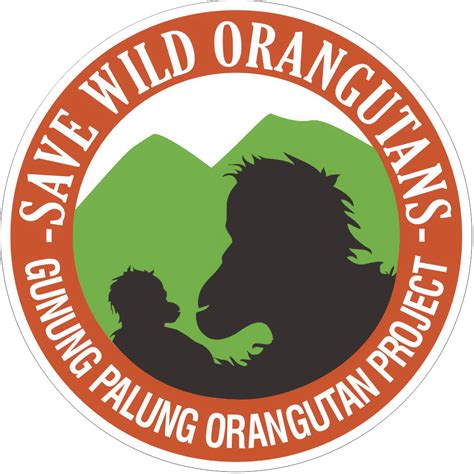 Save Wild Orangutans – Conservation. Research. Education