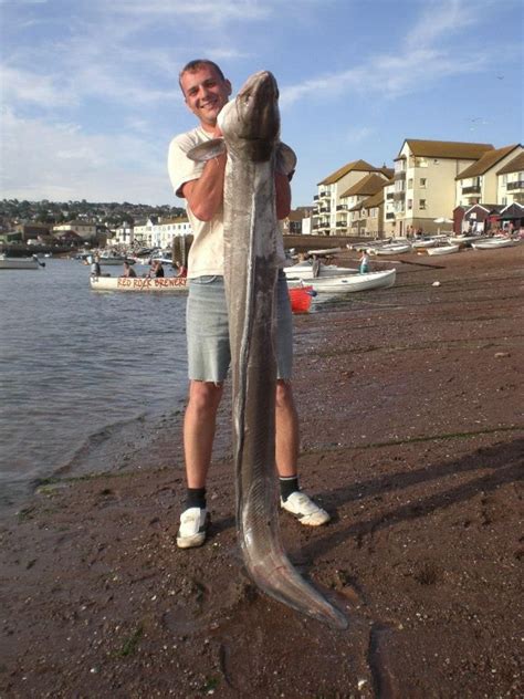 Norwegian Roald Andersen set a record catch of sea eel: 111 kg ...